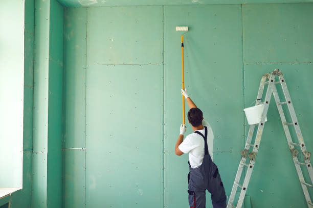 Best Mold Odor Removal Services  in Southchase, FL