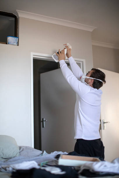 Best Attic Mold Removal  in Southchase, FL
