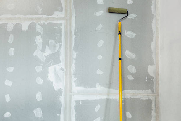 Best Mold Removal for HVAC Installations  in Southchase, FL