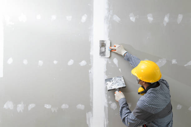 Best Basement Mold Removal  in Southchase, FL